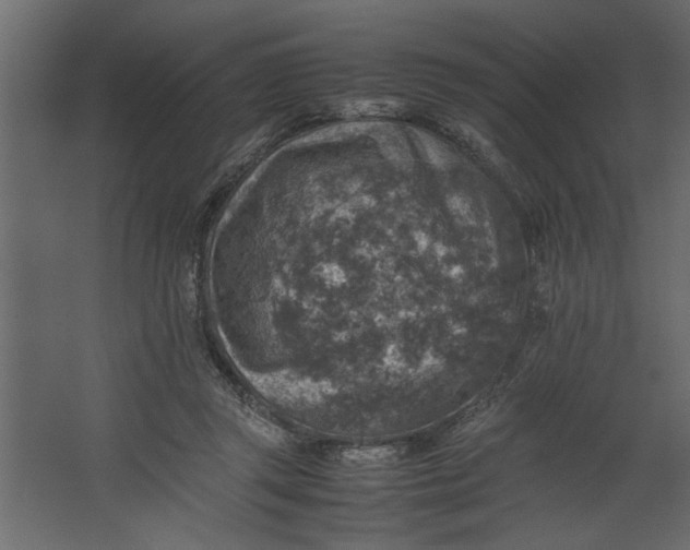 X0000067460357200604211547