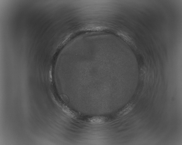 X0000067460358200604211547