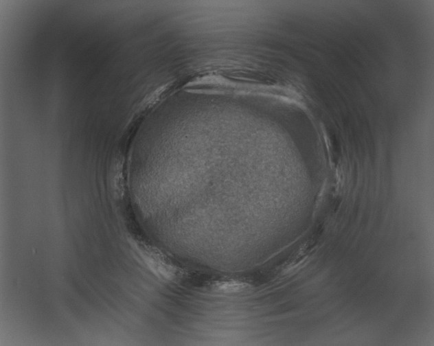 X0000067460360200604211547