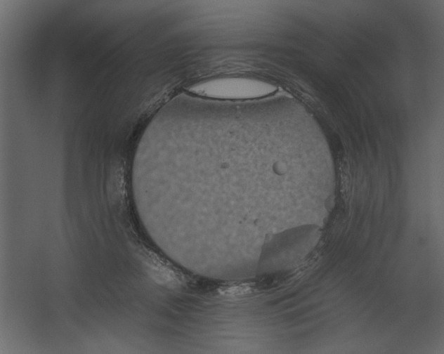 X0000067460362200604211547