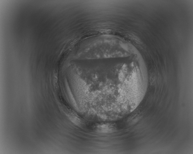 X0000067460365200604211547