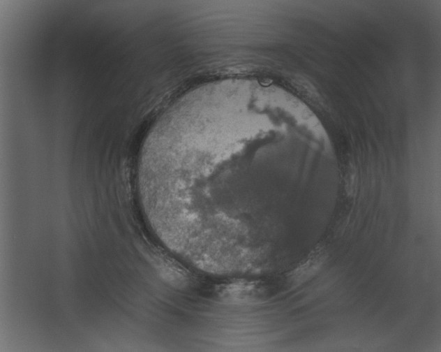 X0000067460366200604211547