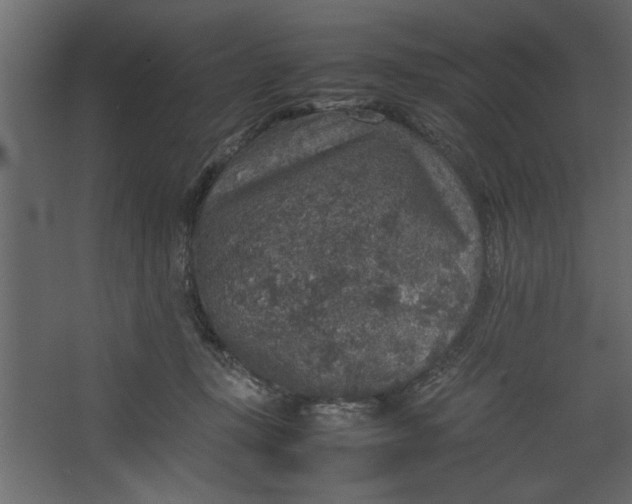 X0000067460367200604211547