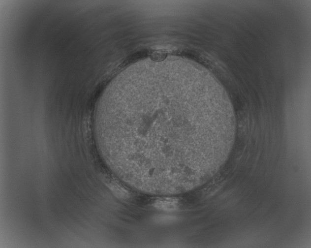 X0000067460369200604211547