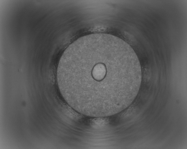 X0000067460370200604211547