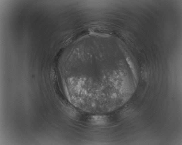 X0000067460371200604211547