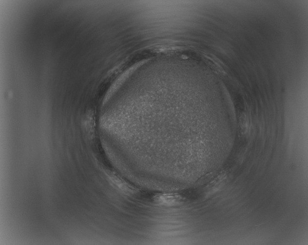 X0000067460372200604211547