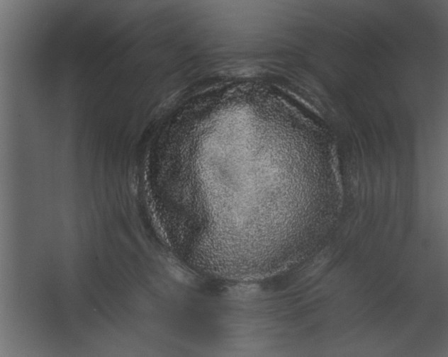 X0000067460374200604211547