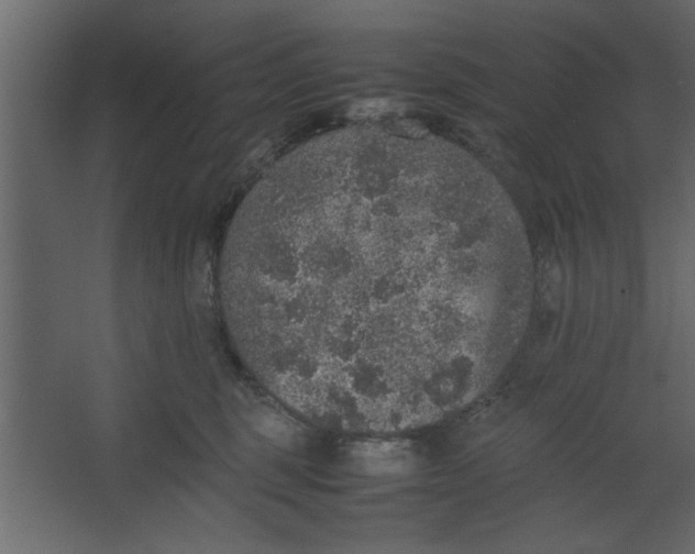 X0000067460375200604211547