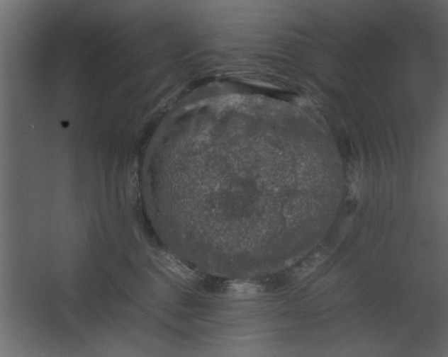 X0000067460376200604211547