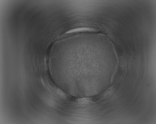 X0000067460378200604211547