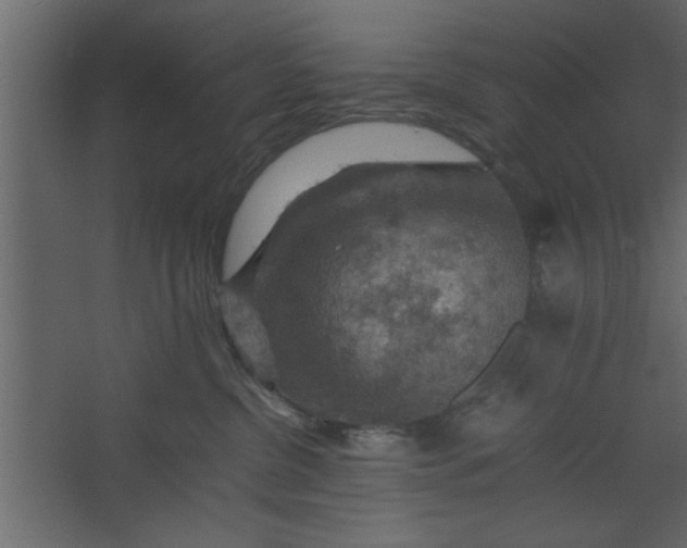 X0000067460380200604211547