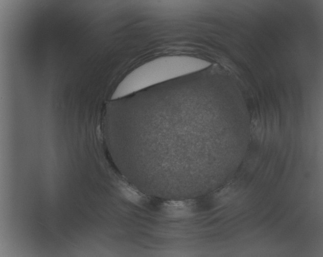 X0000067460381200604211547