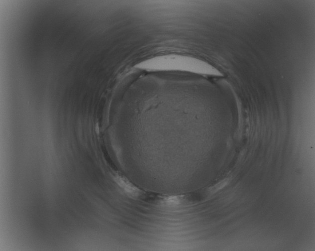 X0000067460382200604211547