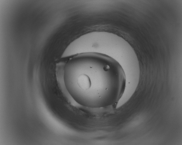 X0000067460383200604211547