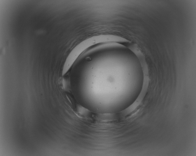 X0000067460384200604211547