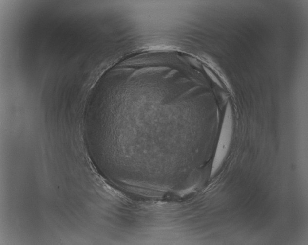 X0000067460385200604211546