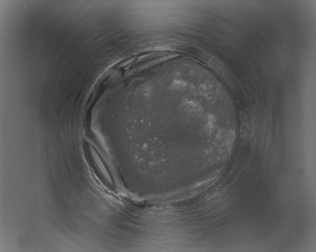 X0000067460386200604211546