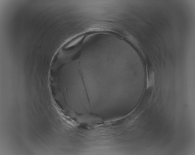 X0000067460387200604211546