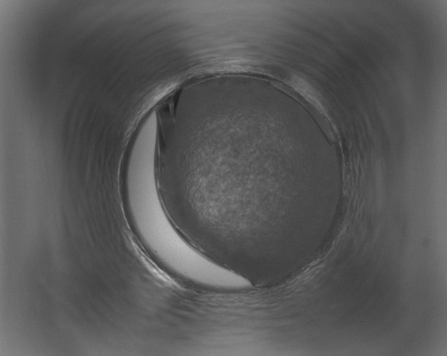 X0000067460389200604211546