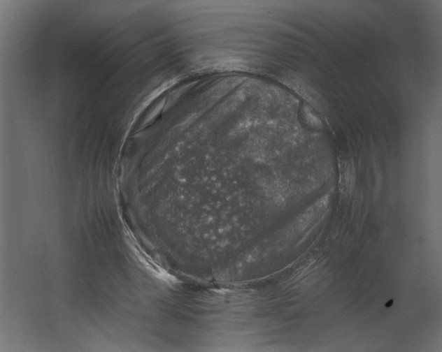 X0000067460390200604211546