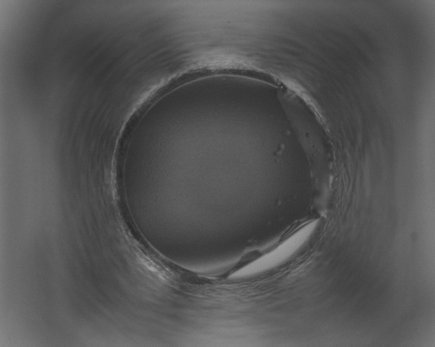 X0000067460391200604211546