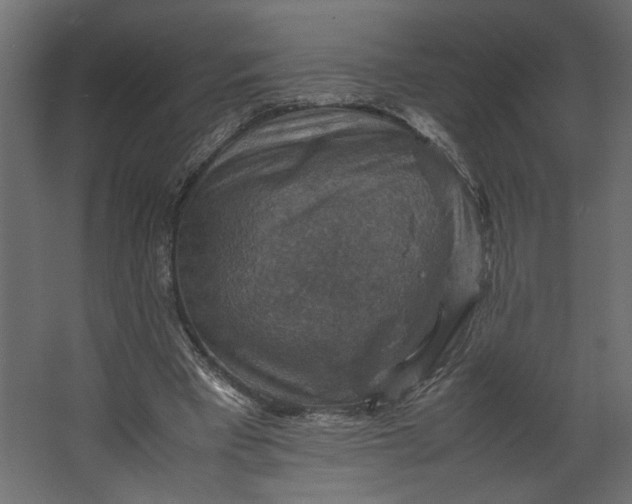 X0000067460393200604211546