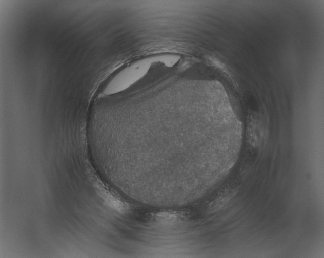 X0000067460394200604211546