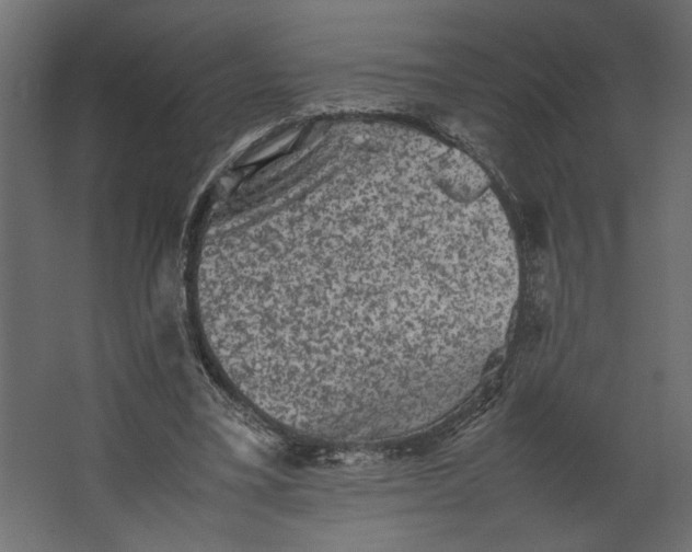 X0000067460395200604211546