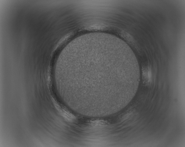 X0000067460396200604211546