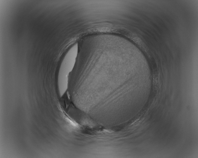 X0000067460397200604211546