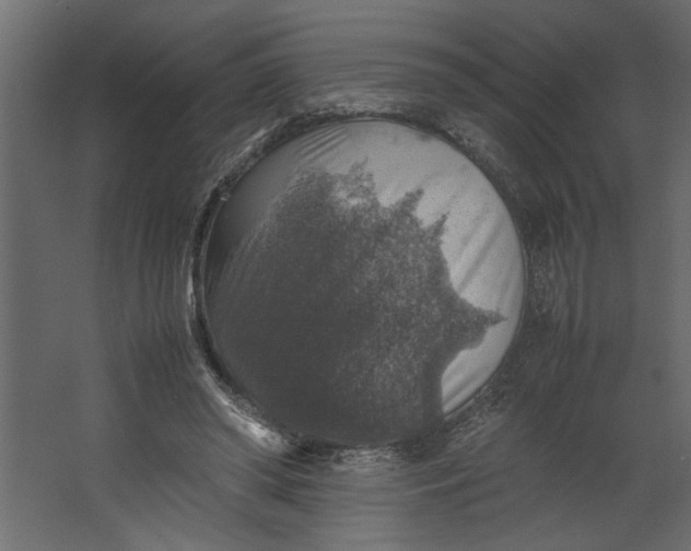 X0000067460398200604211546