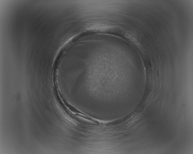 X0000067460399200604211546