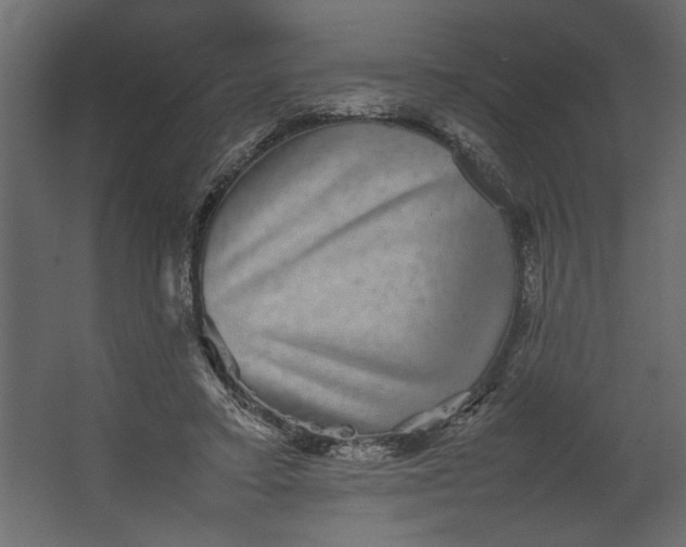 X0000067460403200604211546