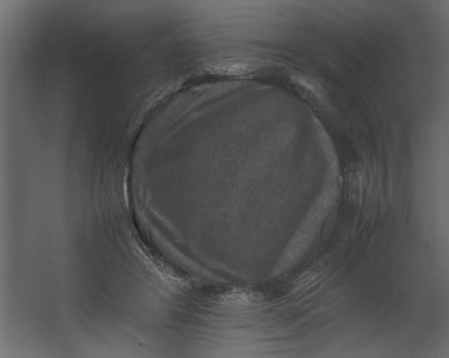 X0000067460404200604211546