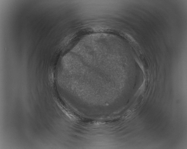 X0000067460405200604211546