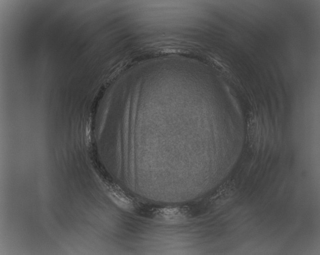 X0000067460406200604211546