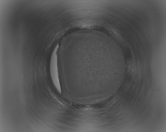 X0000067460408200604211546