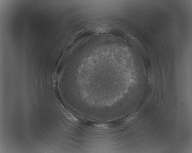 X0000067460409200604211546