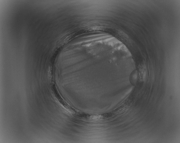 X0000067460410200604211546