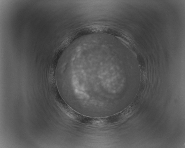 X0000067460411200604211546