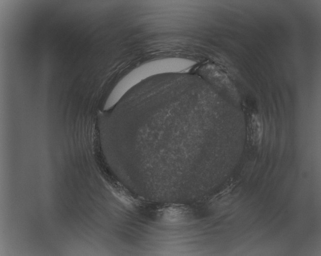 X0000067460412200604211546