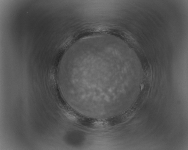 X0000067460415200604211546