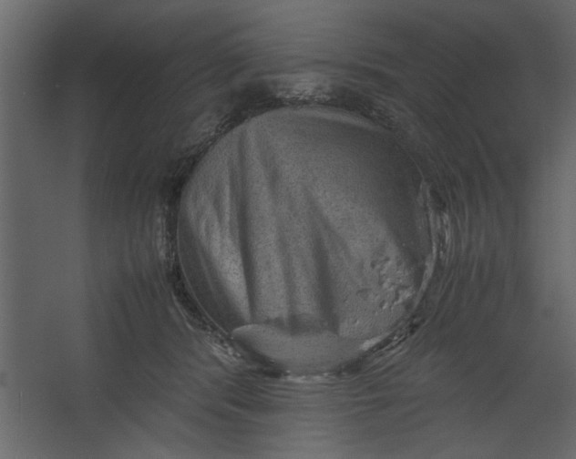 X0000067460416200604211546