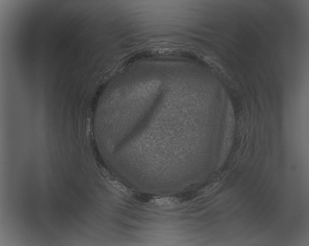 X0000067460417200604211546