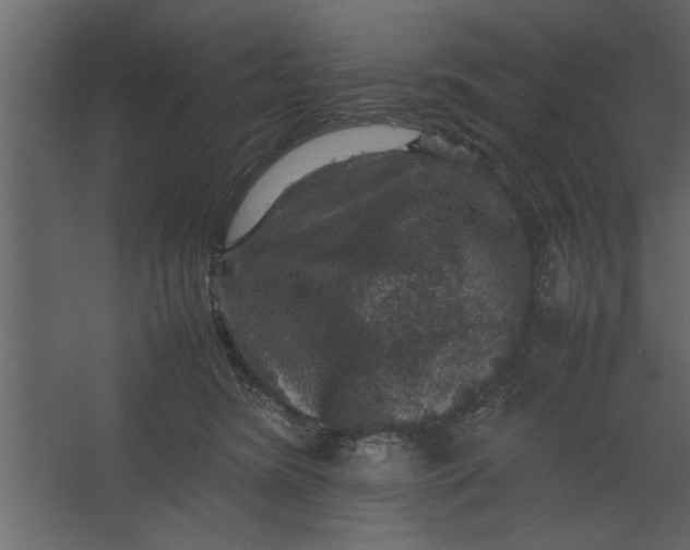 X0000067460420200604211546