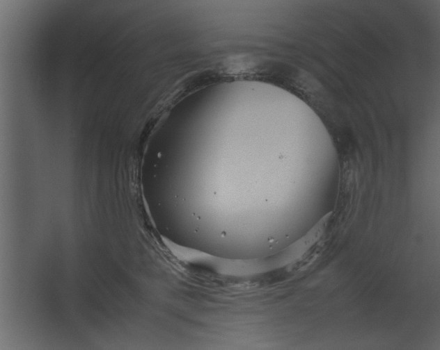 X0000067460421200604211546