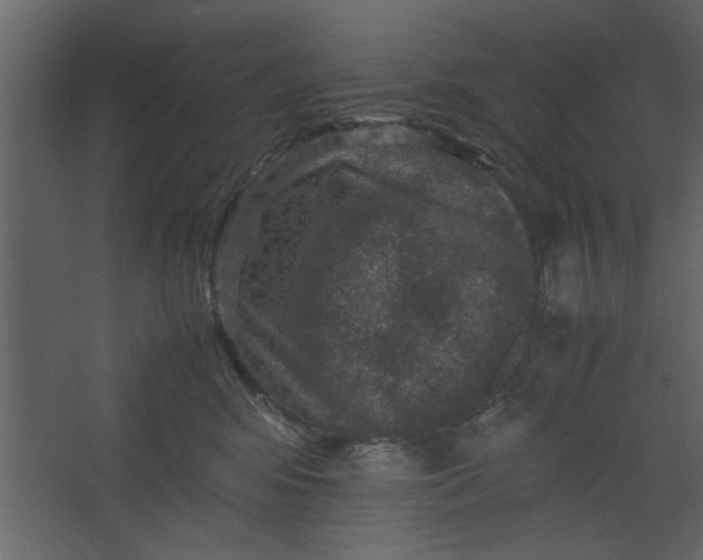 X0000067460424200604211546