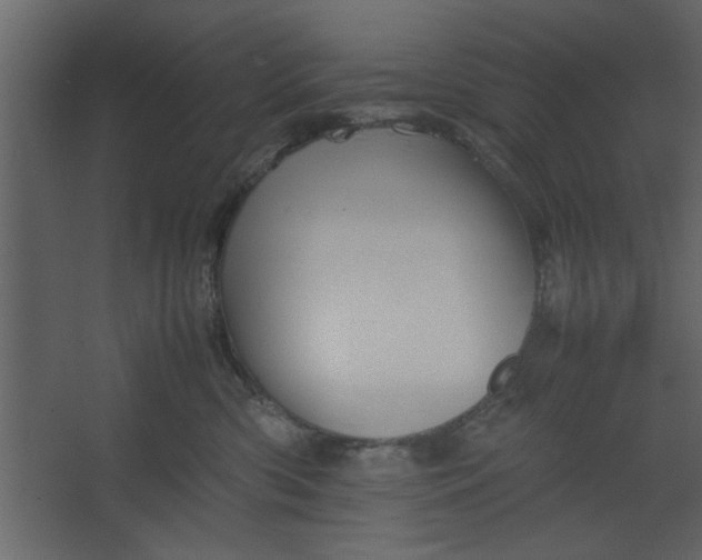 X0000067460426200604211546