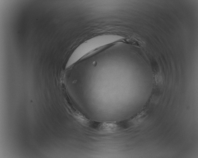 X0000067460429200604211546